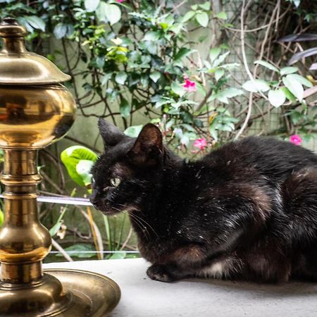 Kandy Inn Madugalle'S Family Guest House エクステリア 写真