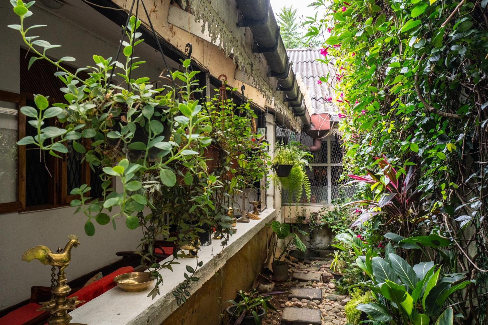 Kandy Inn Madugalle'S Family Guest House エクステリア 写真